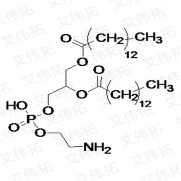 DMPE Dimyristoylphosphatidylethanolamine