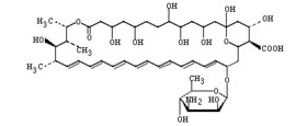 Amphotericin B