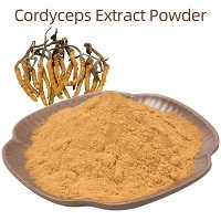 Cordyceps Extract Powder