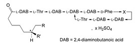 Polymyxin B Sulfate