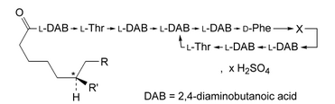 Polymyxin B Sulfate