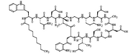 Daptomycin