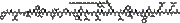 Liraglutide