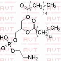 DPPE dipalmitoylphosphatidylethanolamine