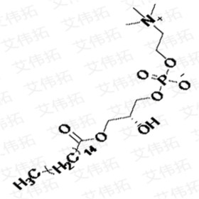 P-LysoPC Palmitoyl lysophosphatidylcholine