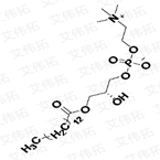 M-lysoPC Myristoyl Lysophosphatidylcholine