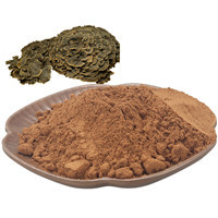 Coriolus Versicolor Extract Powder