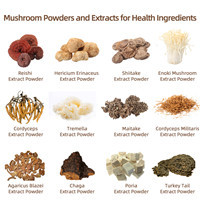 Enoki Mushroom Extract Powder