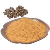 Maitake Extract Powder