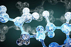 Fermented Nucleotides