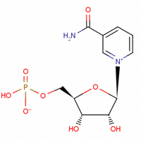 beta-nicotinamide mononucleotide