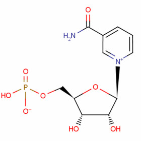 beta-nicotinamide mononucleotide