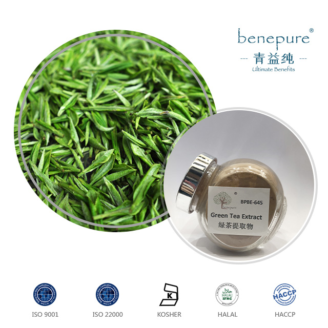 Green Tea Extract  