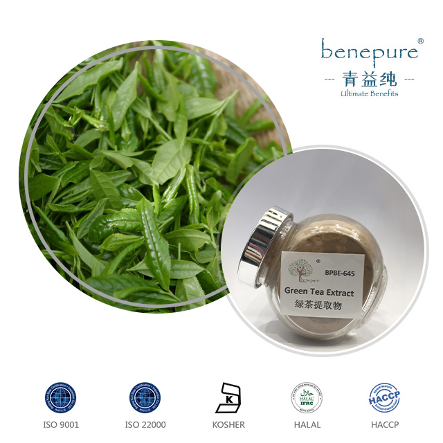 Green Tea Extract  