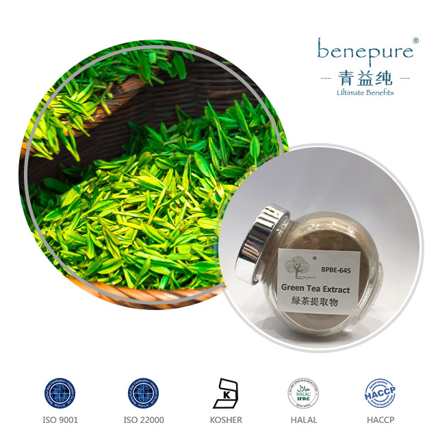 Green Tea Extract  