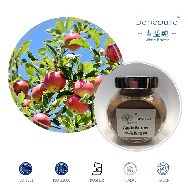 APPLE EXTRACT  