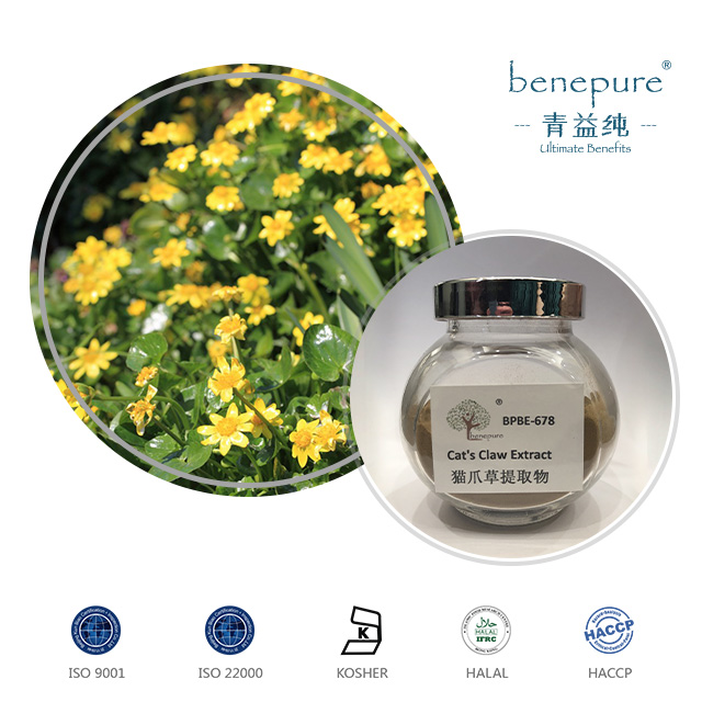 Cat's Claw Extract  