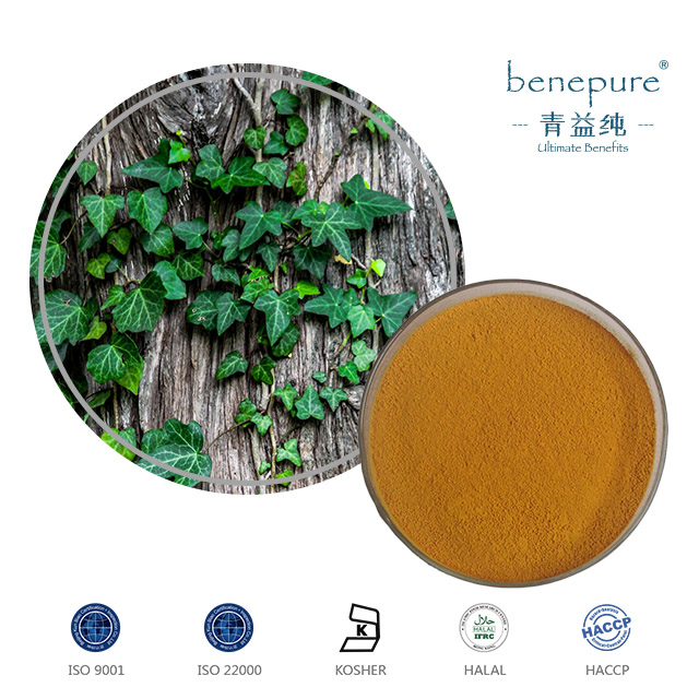 Ivy Leaf Extract  