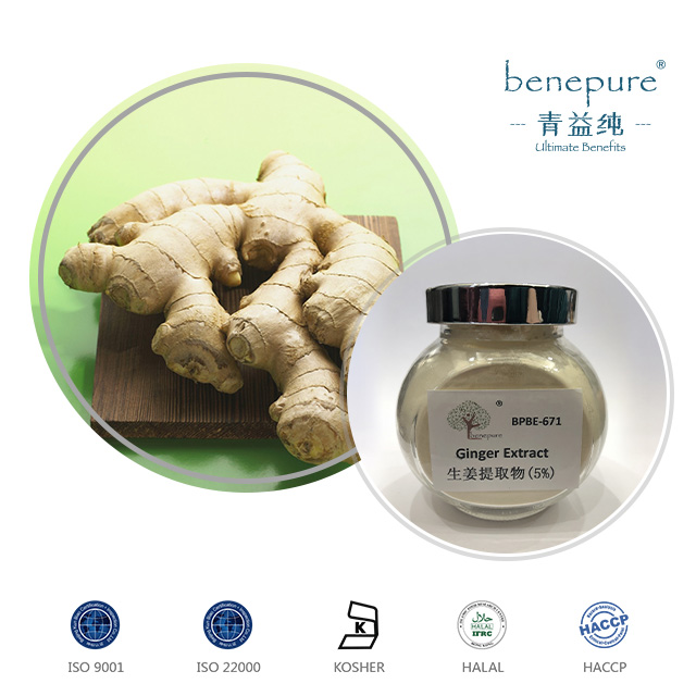 Ginger Extract  