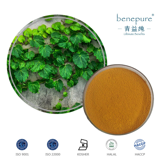 Ivy Leaf Extract  