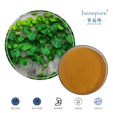 Ivy Leaf Extract