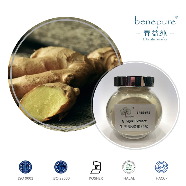 Ginger Extract  