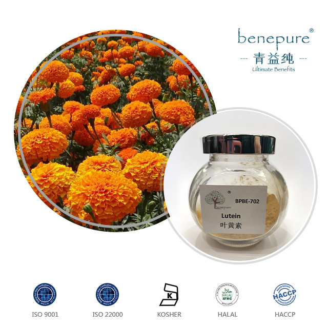 Xanthophyll  