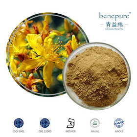 St.John’S Wort Extract