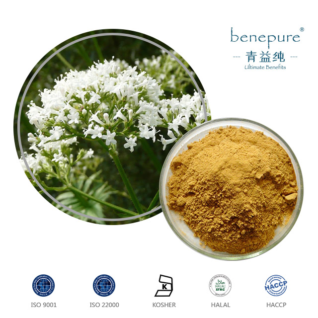 Valerian Extract  