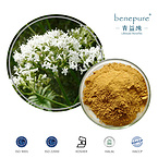 Valerian Extract