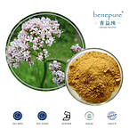 Valerian Extract