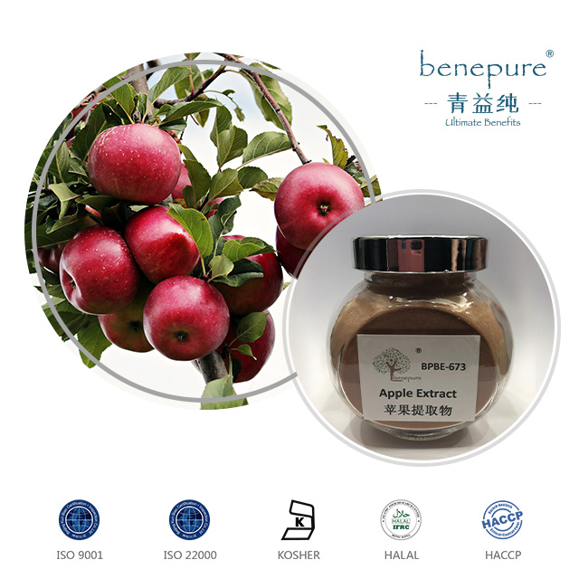 APPLE EXTRACT  