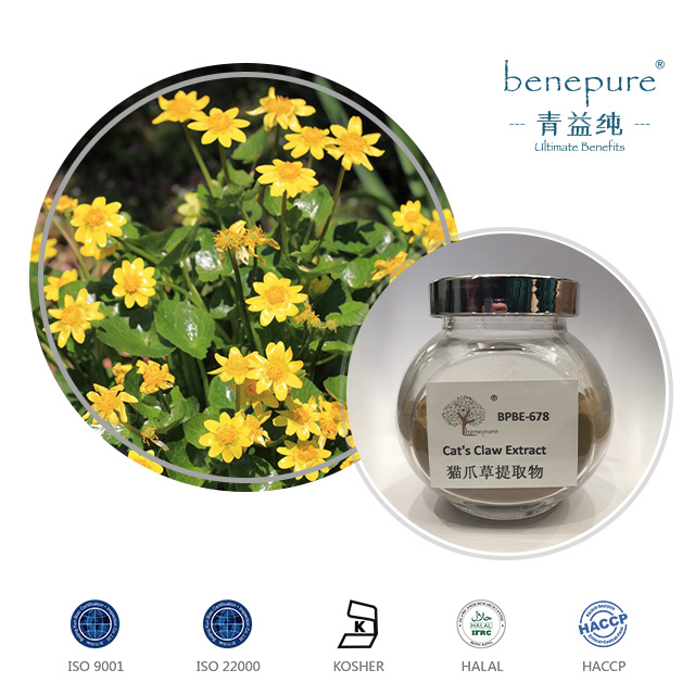 Cat's Claw Extract  