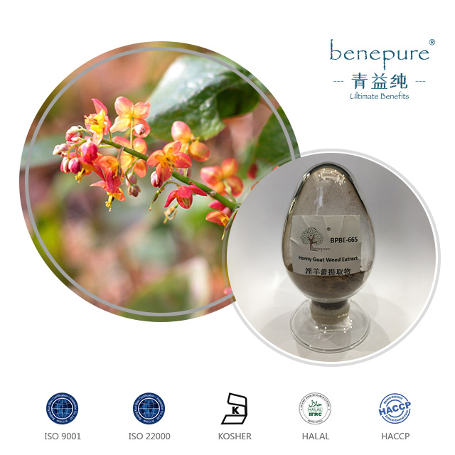 Epimedium Brm(Horny Goat Weed ) Extract  