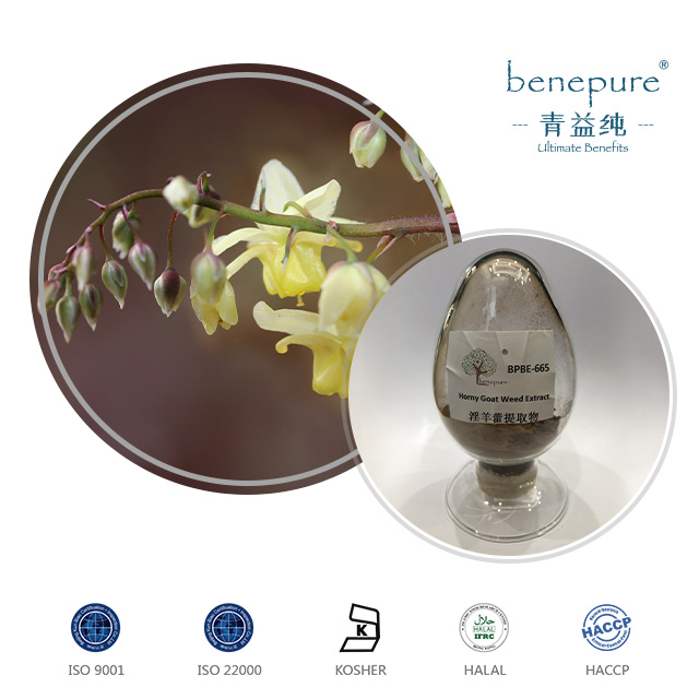 Epimedium Brm(Horny Goat Weed ) Extract  