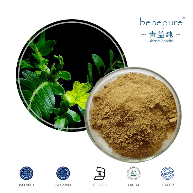 Tribulus Terrestris Extract  