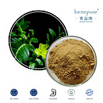 Tribulus Terrestris Extract