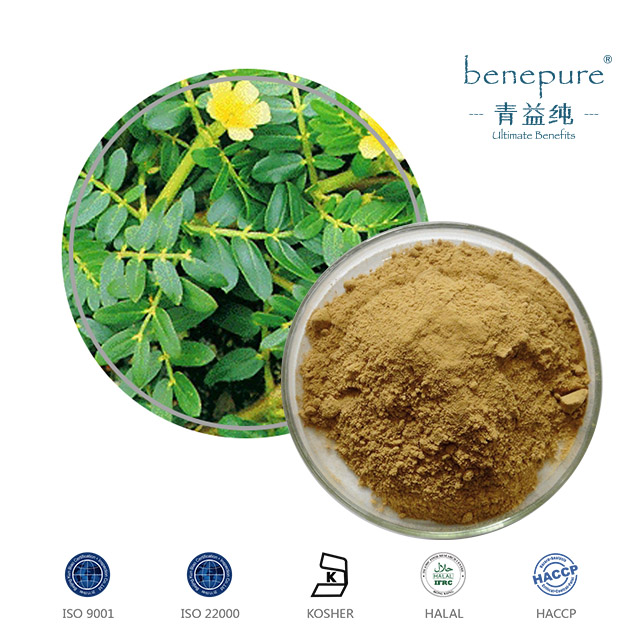 Tribulus Terrestris Extract  