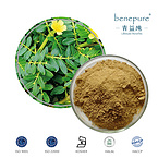 Tribulus Terrestris Extract