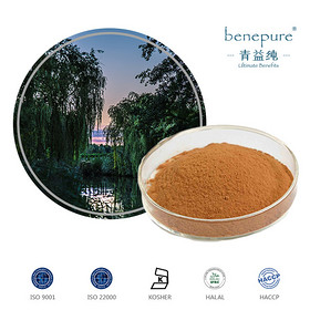 White Willow Bark Extract