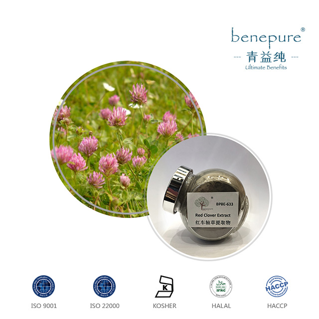 Red Clover Extract  
