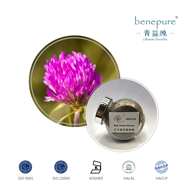 Red Clover Extract  