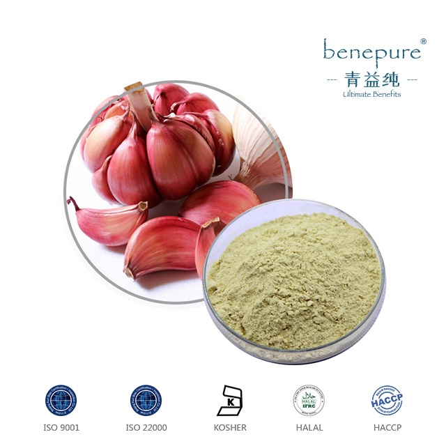 GARLIC EXTRACT  
