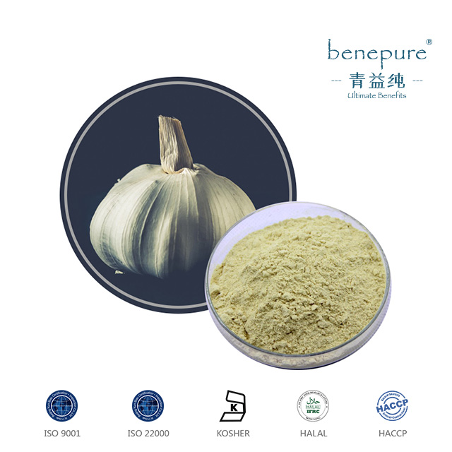 GARLIC EXTRACT  