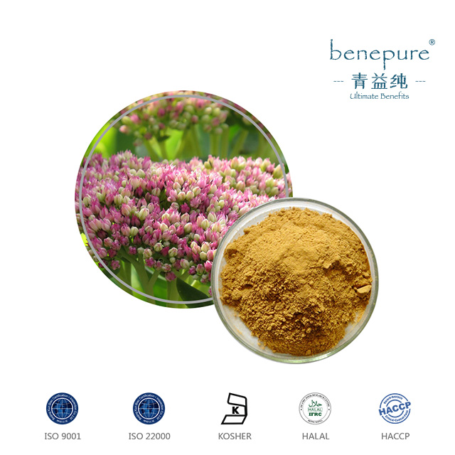 Rhodiola Rosea Extract  