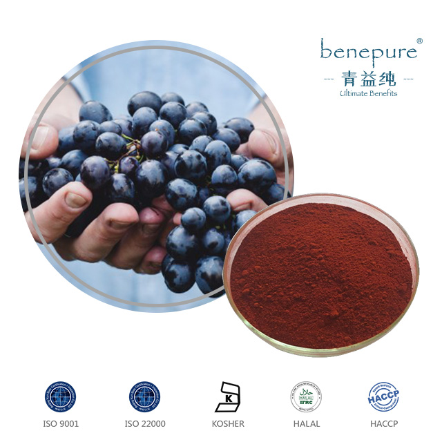 European Bilberry Extract  