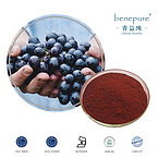 European Bilberry Extract