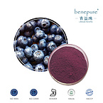 Blueberry Extract