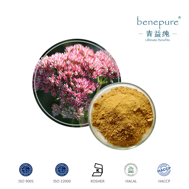 Rhodiola Rosea Extract  