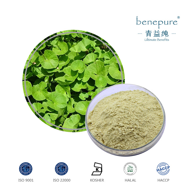 Gotu Kola Extract (Centella Asiatia)  